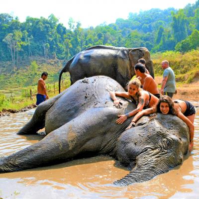 Bagno al Santuario degli Elefanti Nord Thailandia