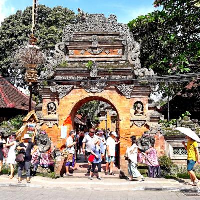 Tour escursione in giornata Bali Indonesia
