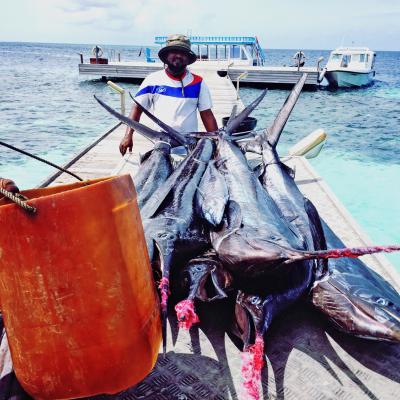 Pesca: Isole Maldive