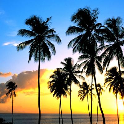 Koh Mak Island