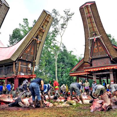 Cerimonia funebre Toraja, Sulawesi, Indonesia