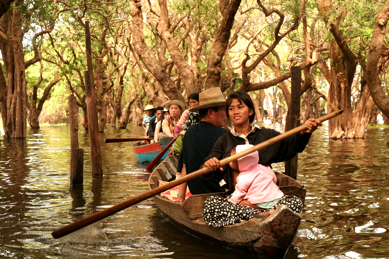 la foresta allagata, Kampong Plug, Lago Tonle Sap, Siem Reap, Cambogia