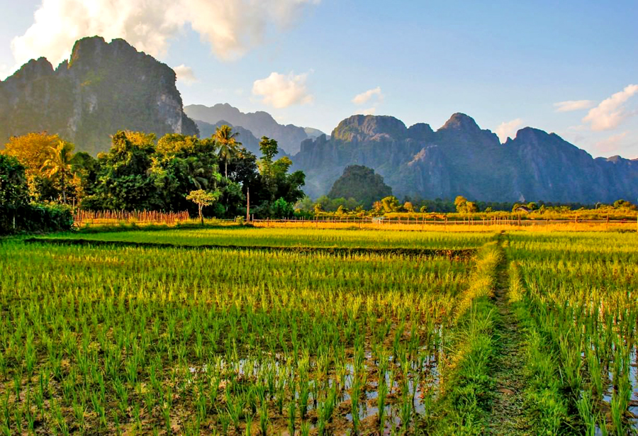 Vang Vien paesaggi sulle risaie del Laos