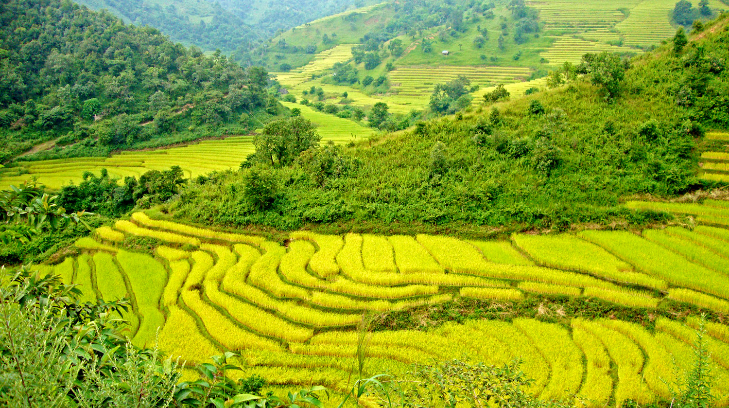 Chiang Rai Trekking