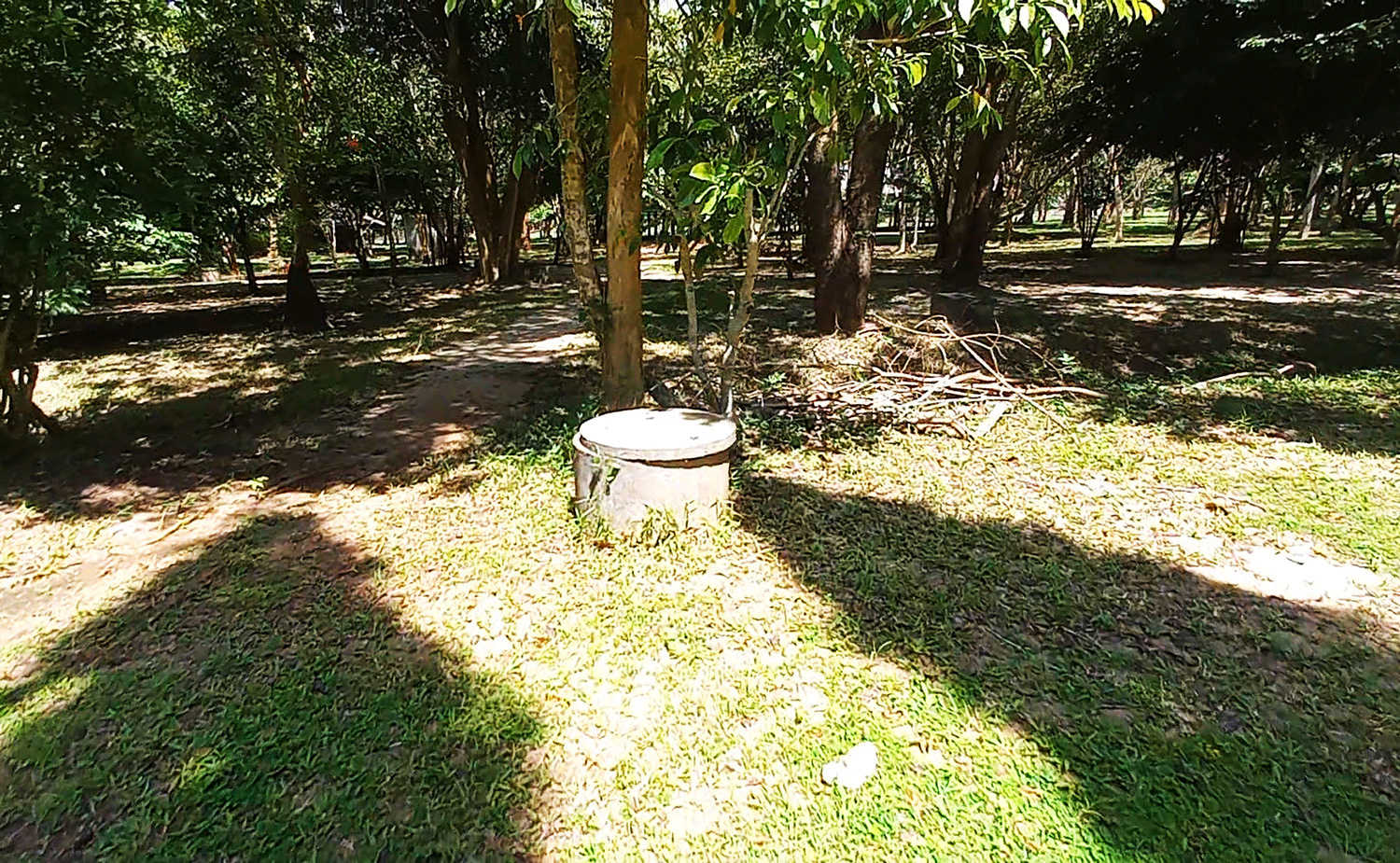 Thailandia: loculi per la meditazione nella foresta al Wat Suan Mokkh Dharma International Hermitage