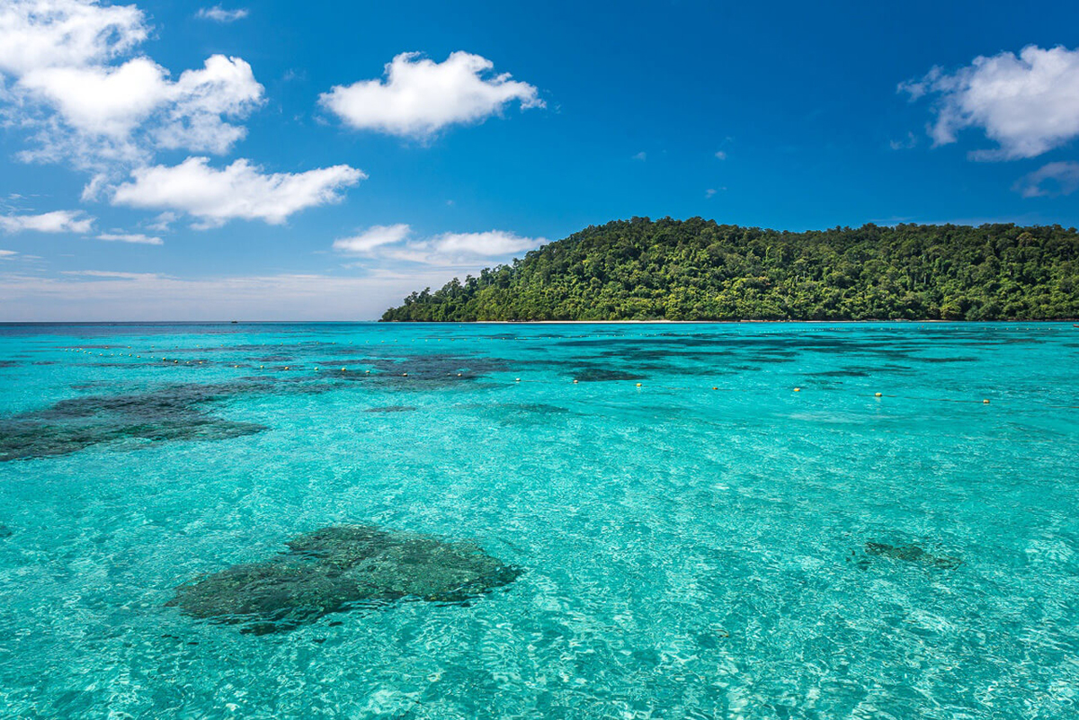 Tour verso Koh Haa e Koh Rok, partenza da Krabi, Thailandia