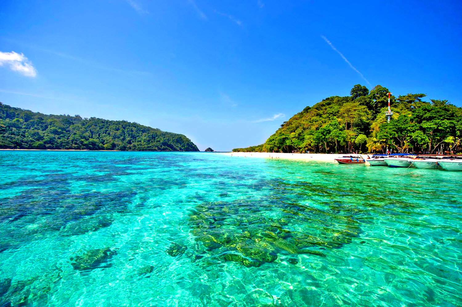 Isole Koh Rok, provincia di Krabi, Mare di Andamane, Thailandia
