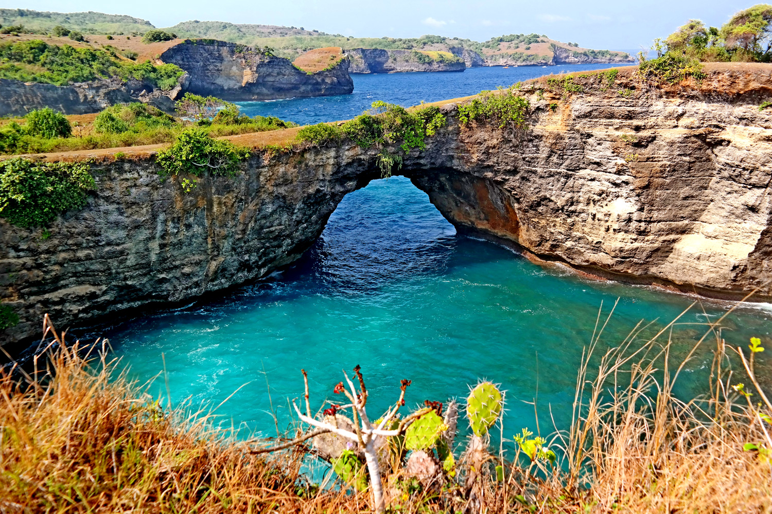 Bali Autentica Lovina Nusa Penida Sanur  Ubud