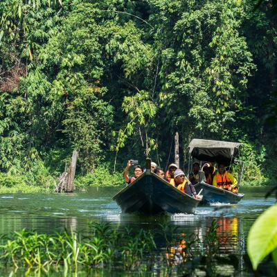Viaggio in Malesia, Belum Temenggor rainforest