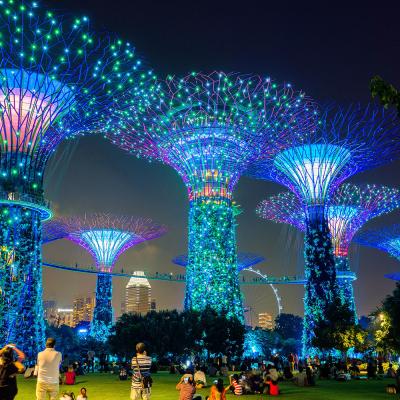 Cosa fare la sera a Singapore
