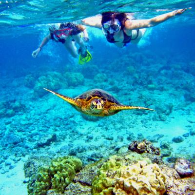 Snorkeling Arcipelago di Mu Ko Lanta
