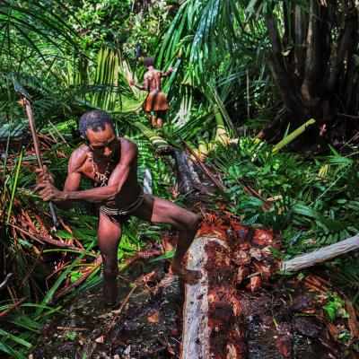 Korowai tribù, Papua, Indonesia