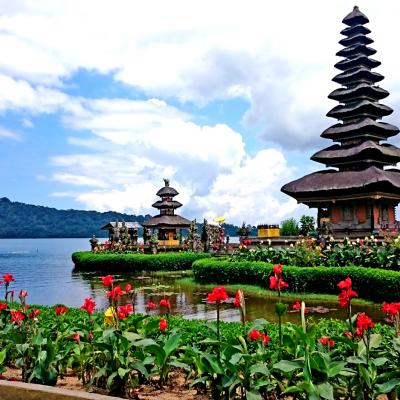 Escursione tour giornaliero Bali Indonesia