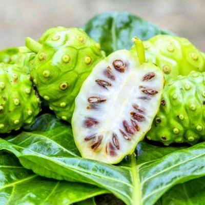 FerVida Prodotti Naturali per la Salute
