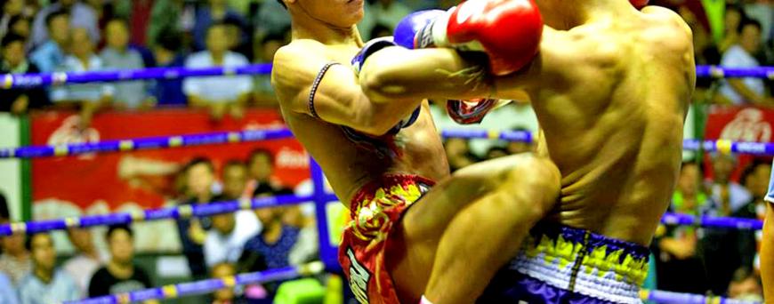 Custodia Per IPhone 14 Con Gatto Muay Thai – Meow Thai, Design Divertente Per Amanti Dei Gatti E Arti Marziali