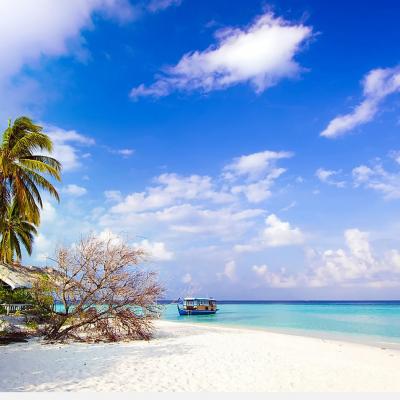 Isole Spiagge del Vietnam