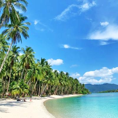 Palawan dove dormire dove alloggiare