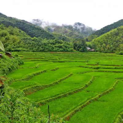 Da Vientiane a Vang Vieng, Laos