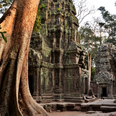 Visita guidata Valle di Angkor Siem Reap Cambodia