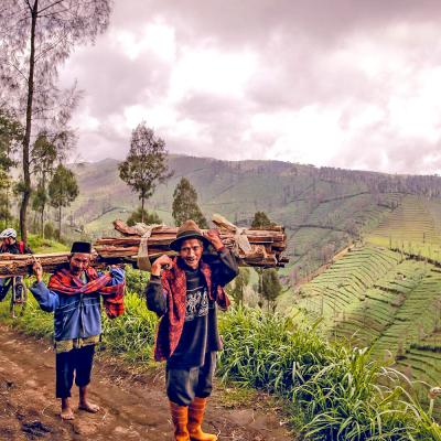 Bromo, Giava, Indonesia