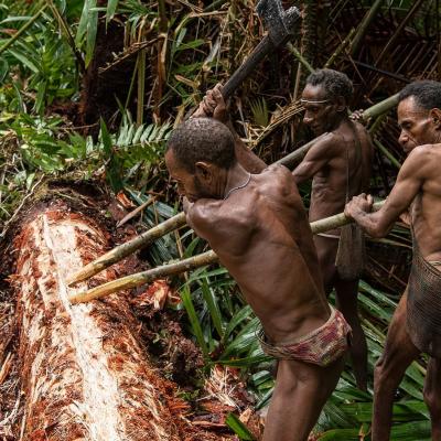 Cosa visitare a Papua, Indonesia