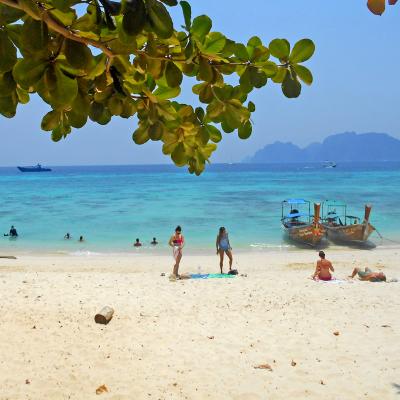 Crociera di 1 giorno isole Phi Phi e Maya Bay