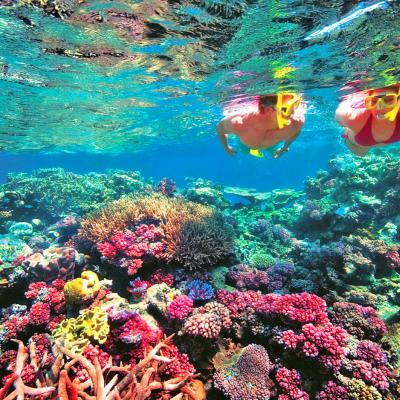 Snorkeling a Koh Poda, Krabi