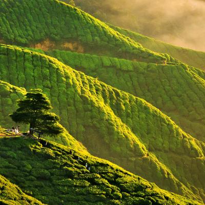 Malesia, cosa visitare cosa vedere