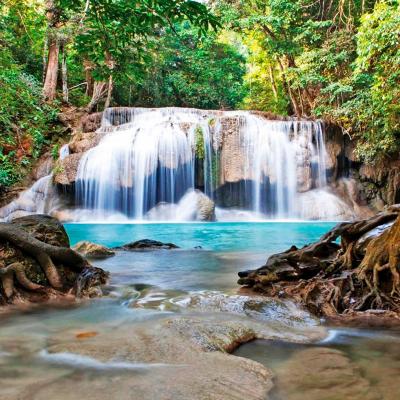 Gruppo Yoga Meditazione Thailandia Febbrario 2026