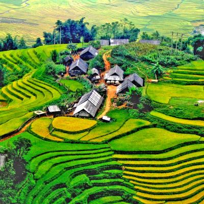 Viaggio in Vietnam: Tour del Nord