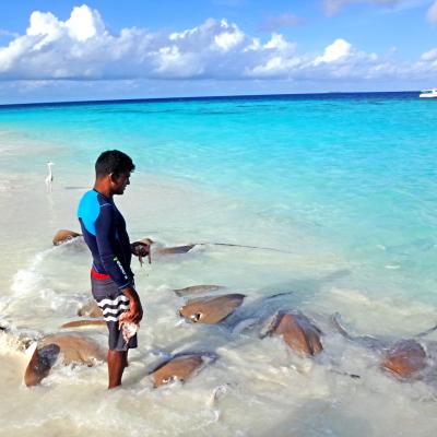 Maldive da Sogno