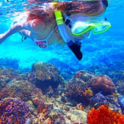 Snorkeling Ko Mook