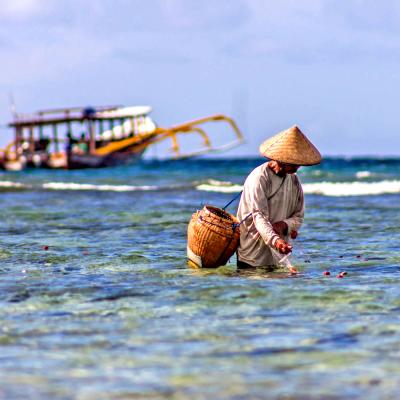 Viaggio di Nozze Indonesia: Giava, Sulawesi, Bali, isole Gili