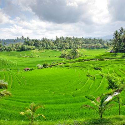 Viaggio di Nozze con Cerimonia di Matrimonio Balinese