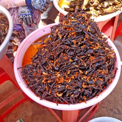 Street Food, Insect Food, Phnom Penh Cambodia