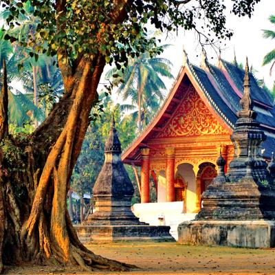 Visita a i templi di Luang Prabang, Laos