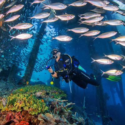 Scuba Diving a Papua (Nuova Guinea), Indonesia