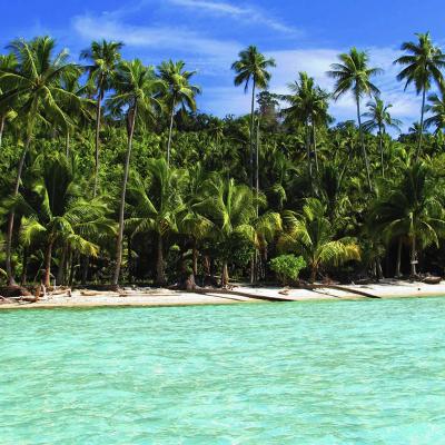 Tour di 12 giorni 11 notti a Sulawesi, Indonesia