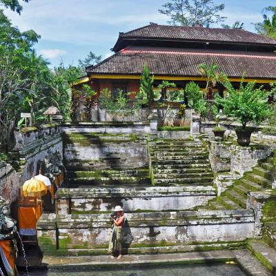 Tour in giornata: Bali centro nord (guida italiana)