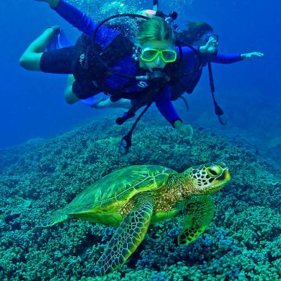 Escursioni diving Ko Yao Noi Su Thailandia