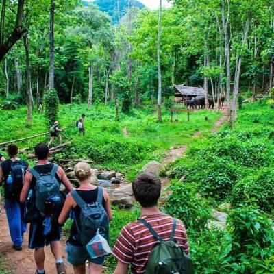 Escursioni tour Chiang Mai, Nord Thailandia