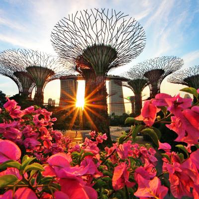 Escursione di 1 giorno a Singapore