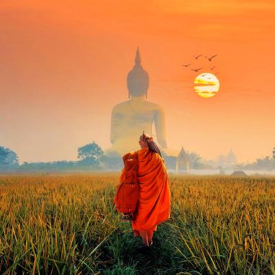 Gruppo Yoga Meditazione Thailandia Febbraio Marzo