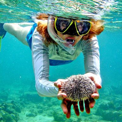 Tour crociera in catamarano yacht