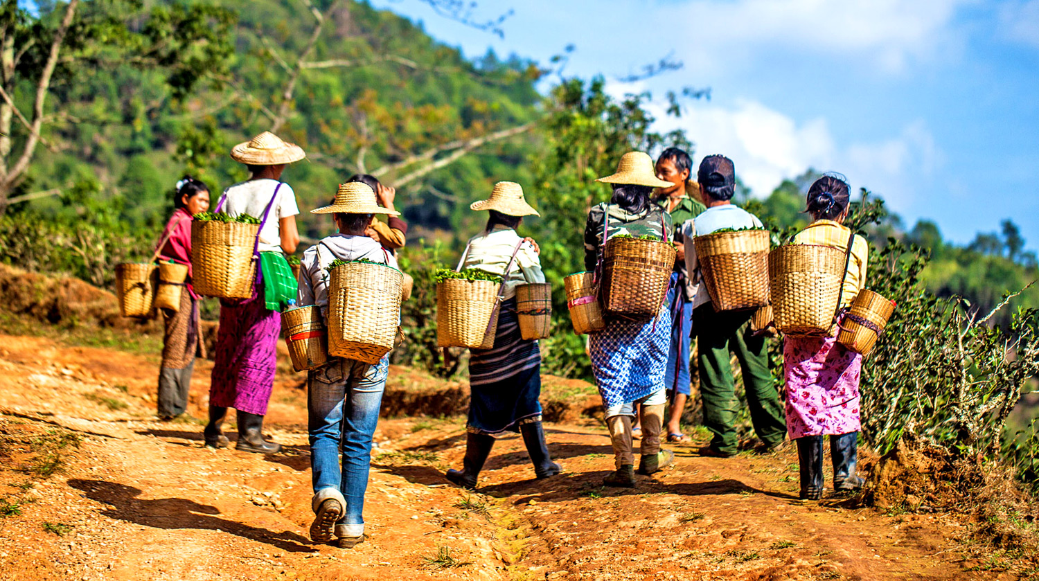 Lago Inle trekking, attraversando i paesaggi dello Stato dello Shan