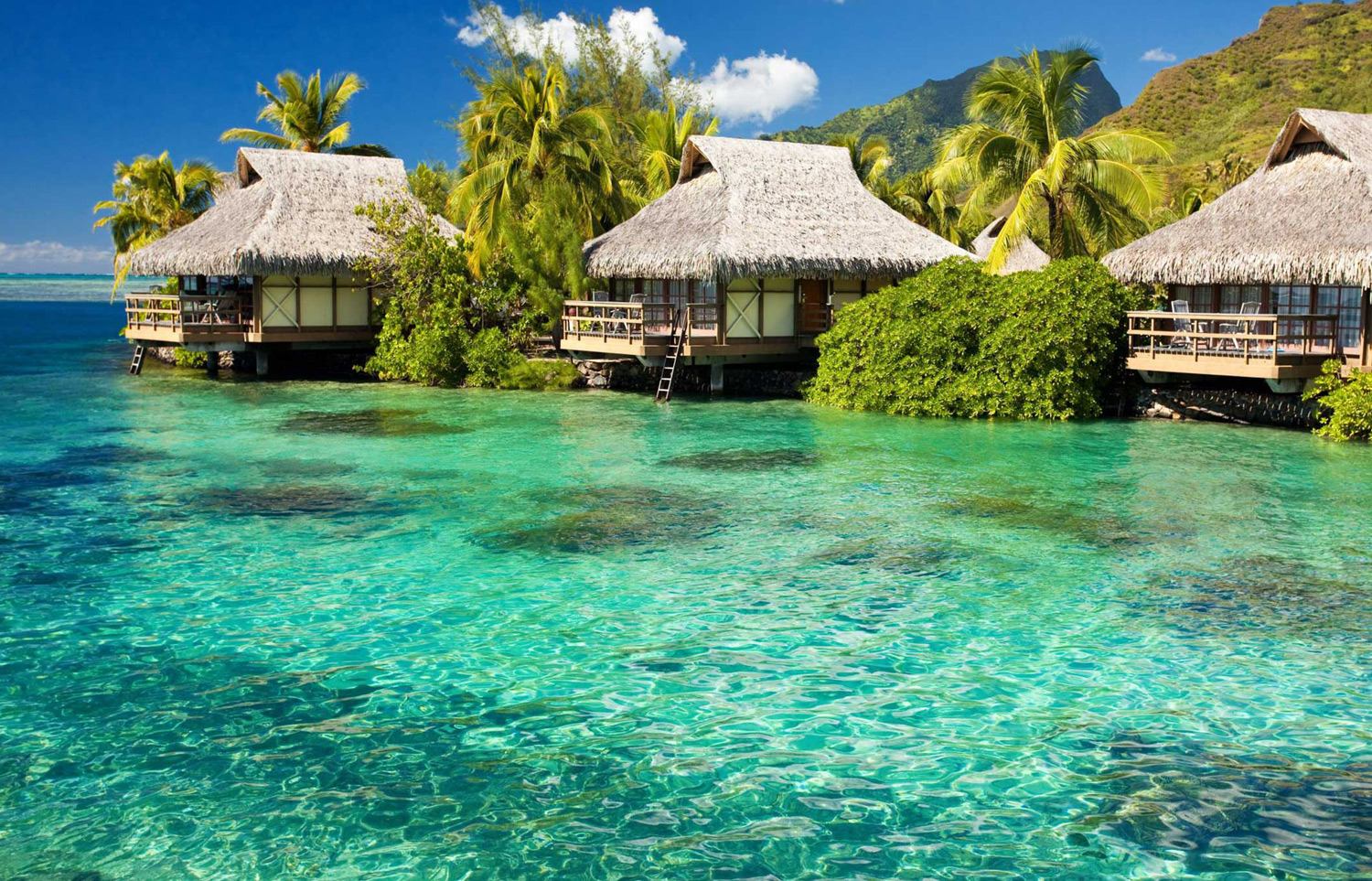 Karimunjawa Island o Isole Karimunjava: luxury resort