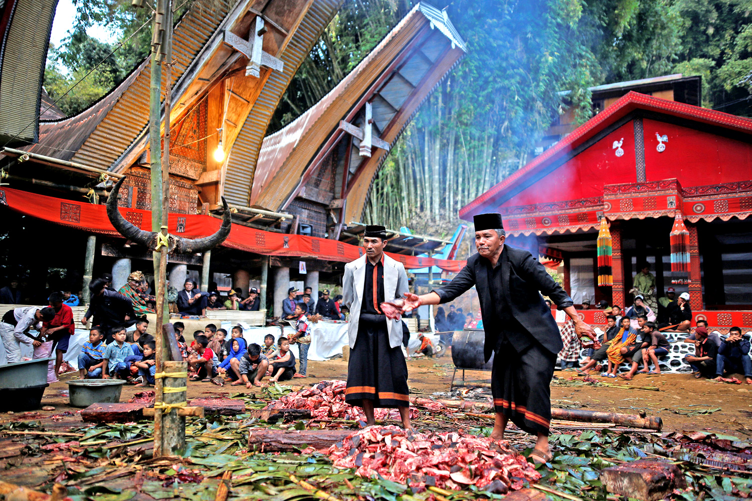Cerimonia Funebre, Villaggio Toraja, Sulawesi, Indonesia