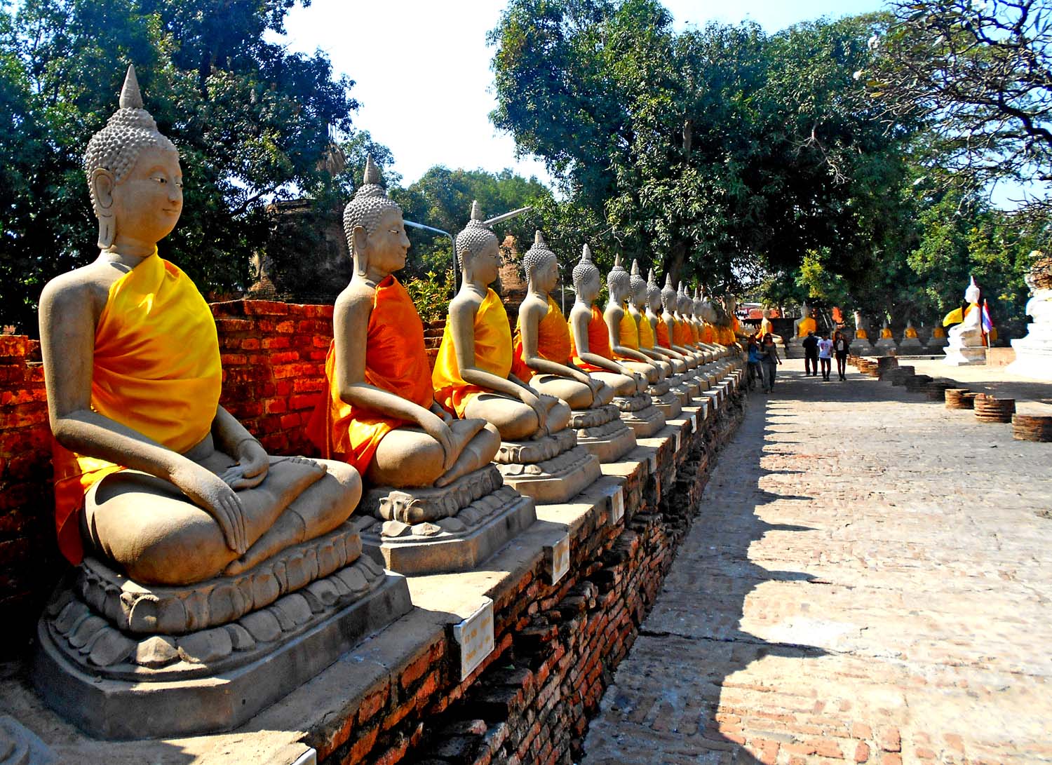 Parco Storico di Ayutthaya Thailandia