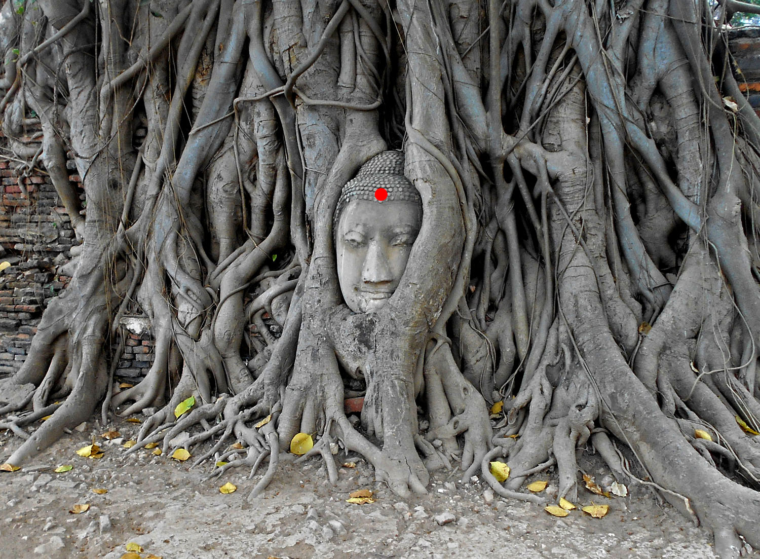 Wat Mahathat Parco Storico di Ayutthaya