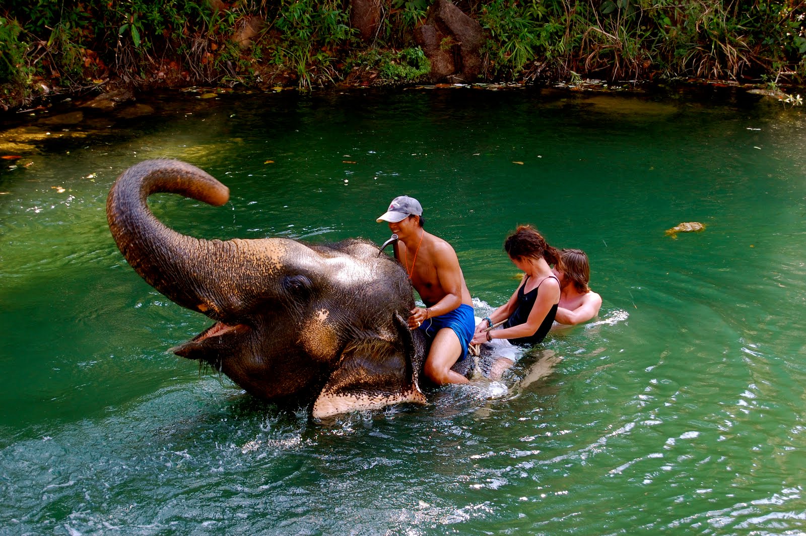 Trekking a dorso di Elefante
